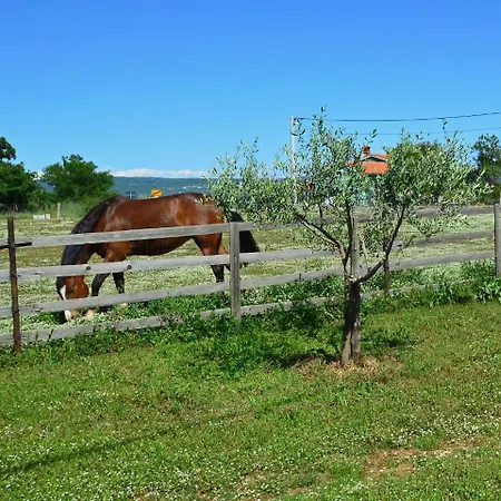 Holiday Home Krnica 37.1 Krnica